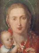 Albrecht Durer The Madonna with a Carna-tion USA oil painting artist